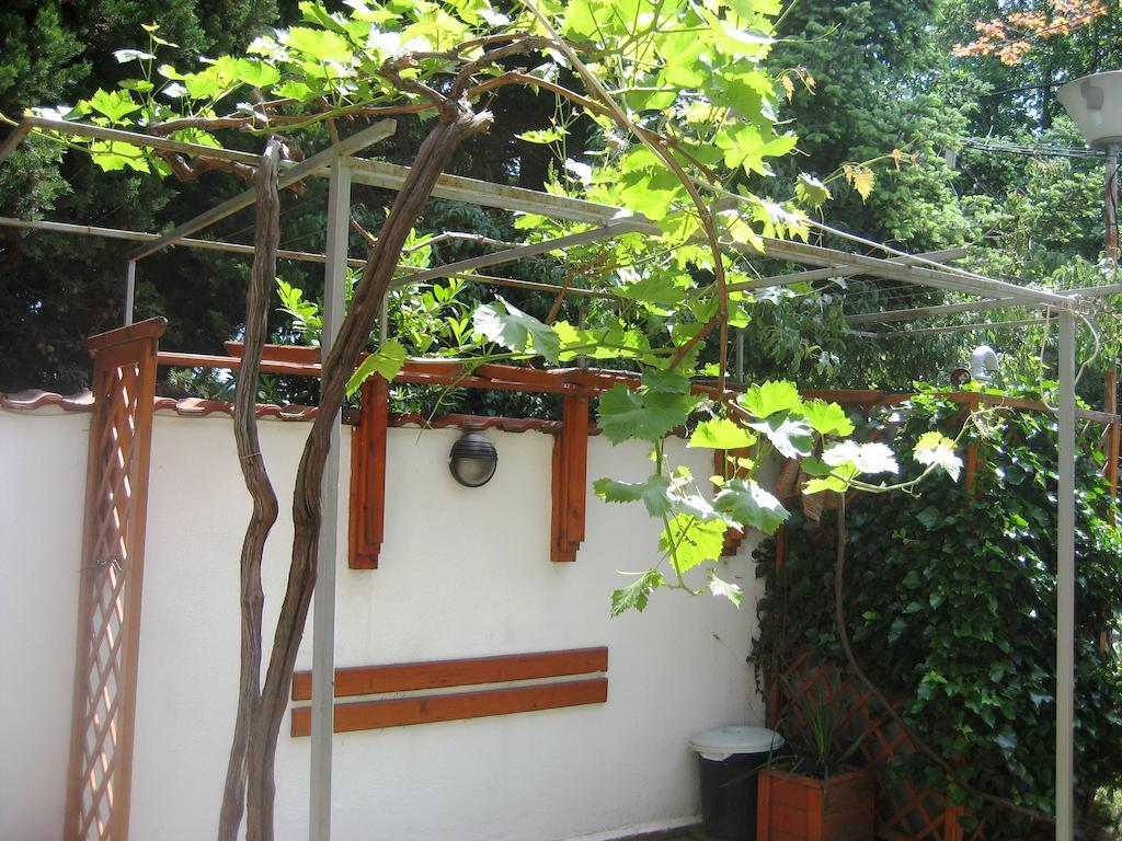 Guest House Yanina Varna Exteriör bild